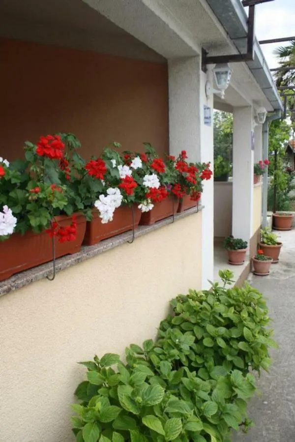 Apartments Mise Trogir